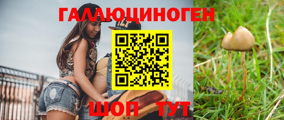 Псилоцибиновые грибы мухоморы Богородск